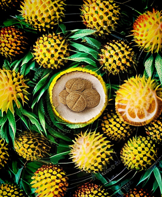 Pineapple 🍍  20 mg 5 count